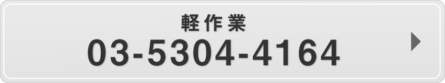 軽作業：03-5304-4164